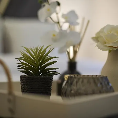 Hayy Luxury Retreat At The