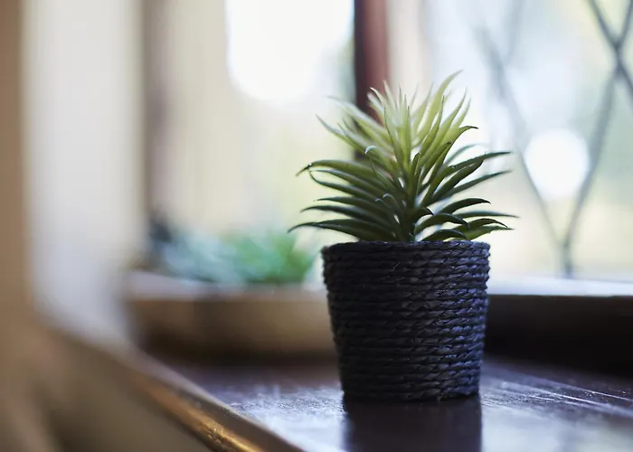 Hayy Luxury Retreat At The * 布雷得佛