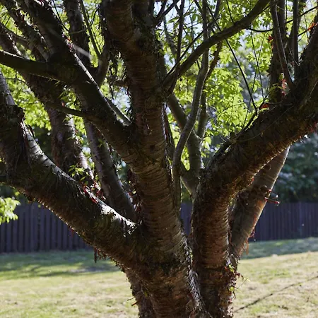 Hayy Luxury Retreat At The